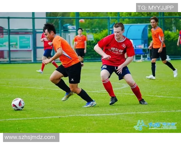 欧洲顶级足球巨星欢聚绿茵共庆荣耀时刻展现团结与友谊风采